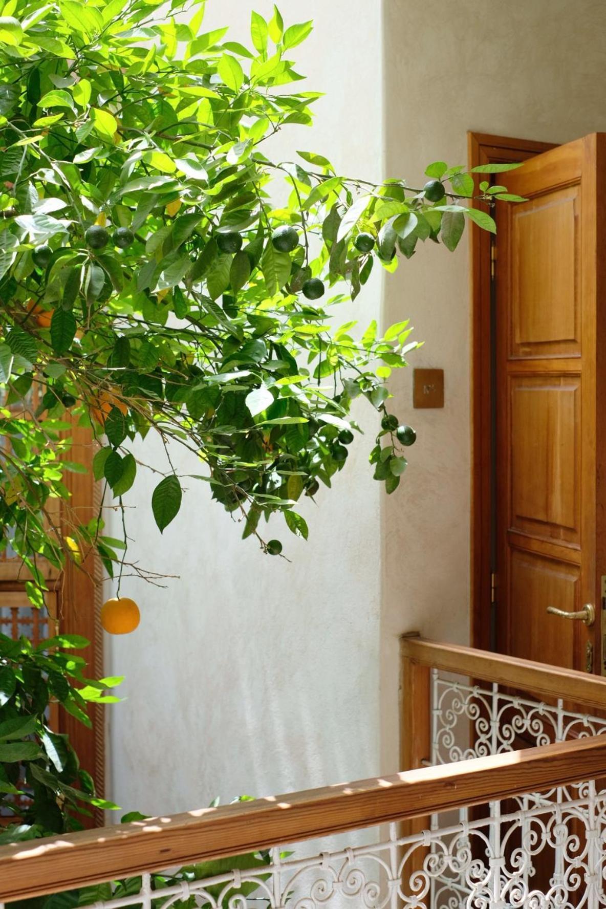 Riad L'Atelier Marrakesh Exterior photo